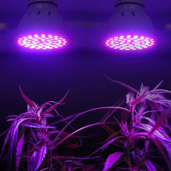 Led Grow Lempa E27 E14 GU10 MR16 220V viso Spektro LED Augalų Hydroponic Augimo Šviesos Fito Lempos Patalpų Apšvietimas Gėlių Daigai